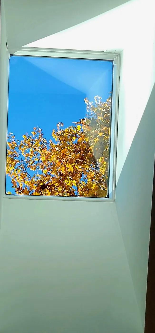 The same skylight seen from inside the home — spotless glass framing blue sky and autumn leaves