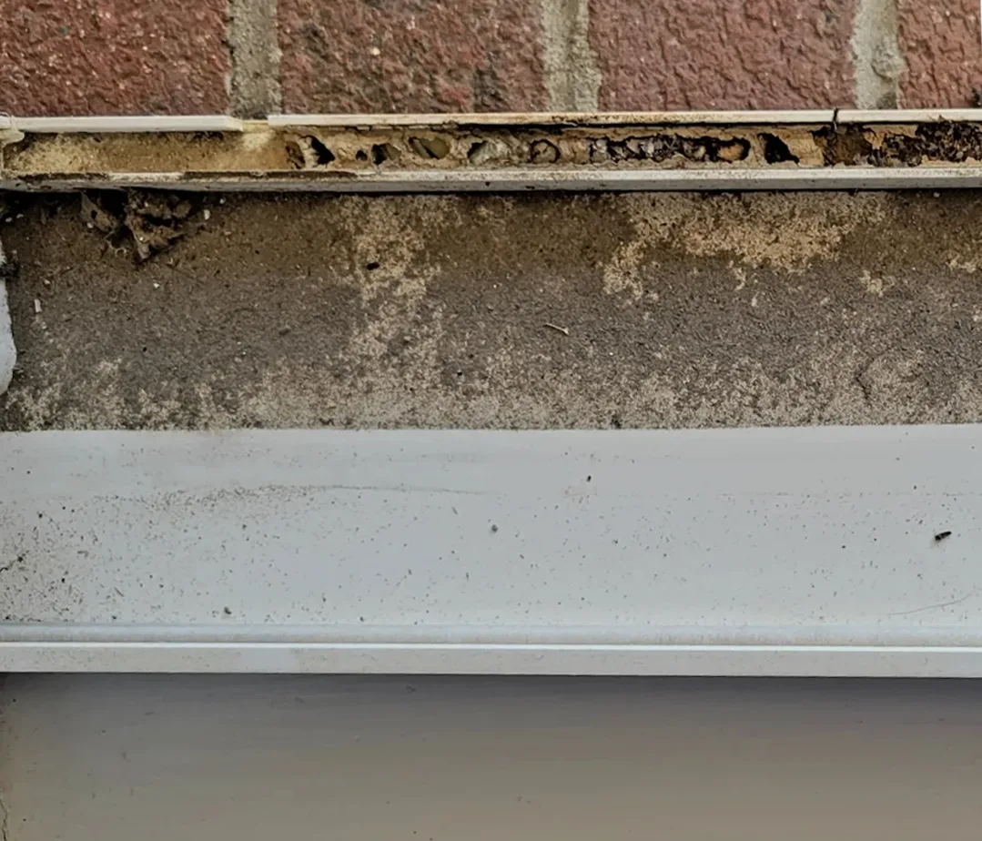 Window track caked with dirt, debris, and dead insects before cleaning