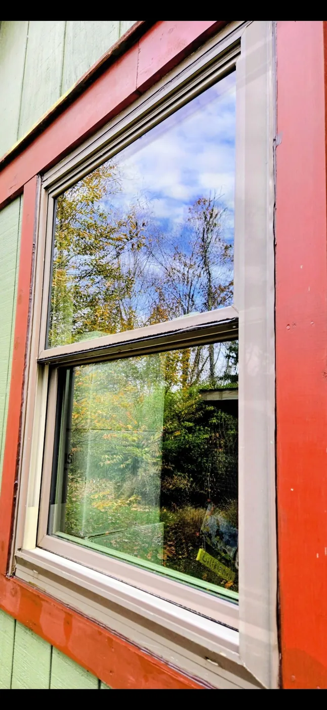 Same window left crystal clear with a streak-free view of the trees after Down to Earth service