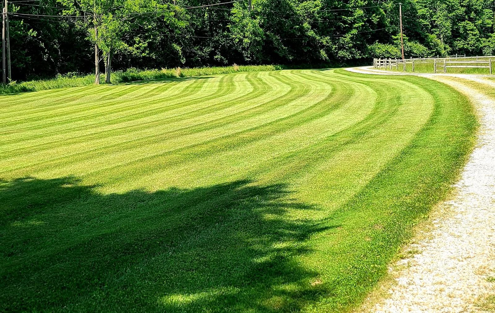 Precision curved lawn stripes along driveway — Down to Earth mowing in Bethel, Ohio